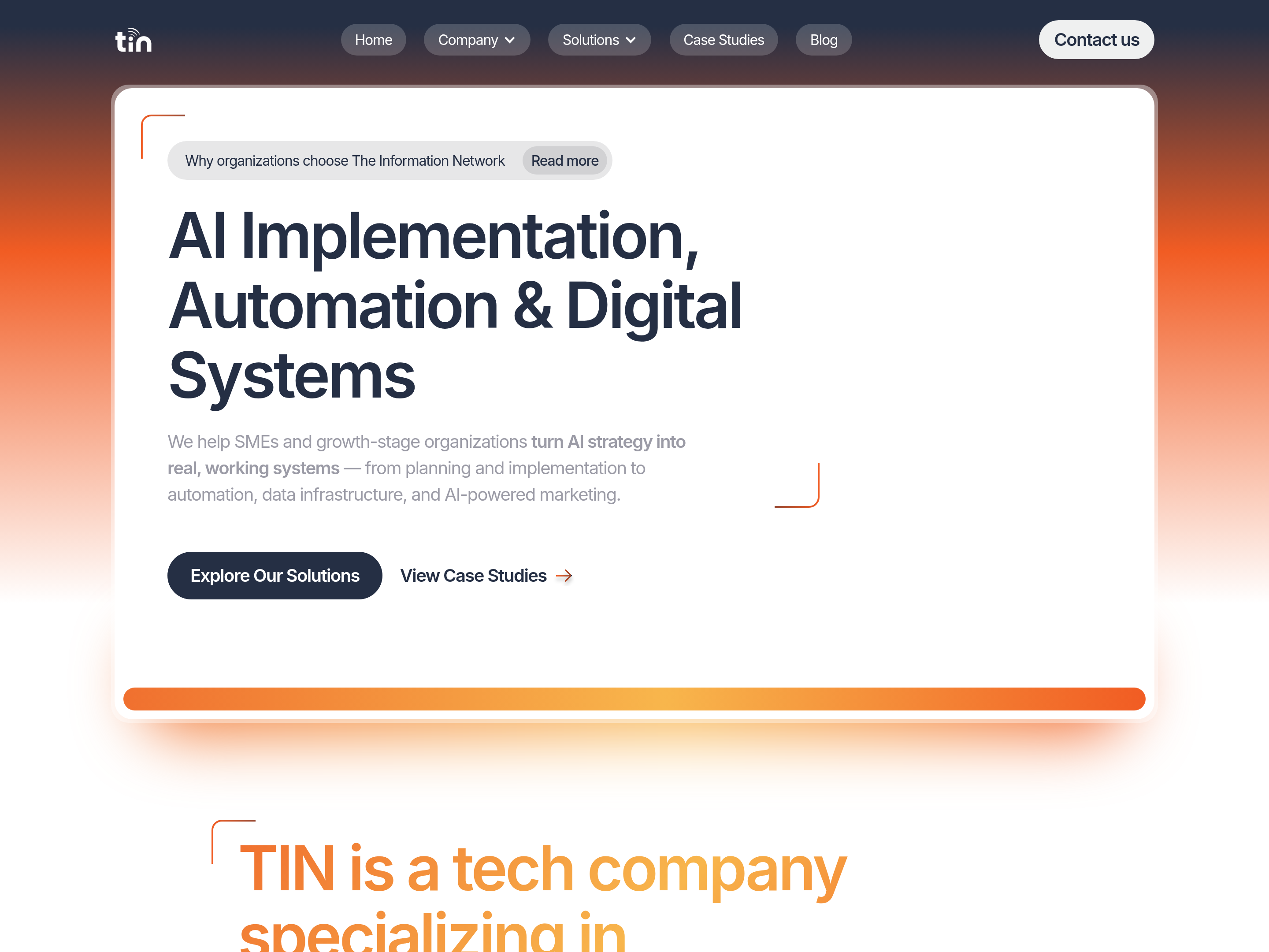 TIN Digital Marketing Agency website screenshot